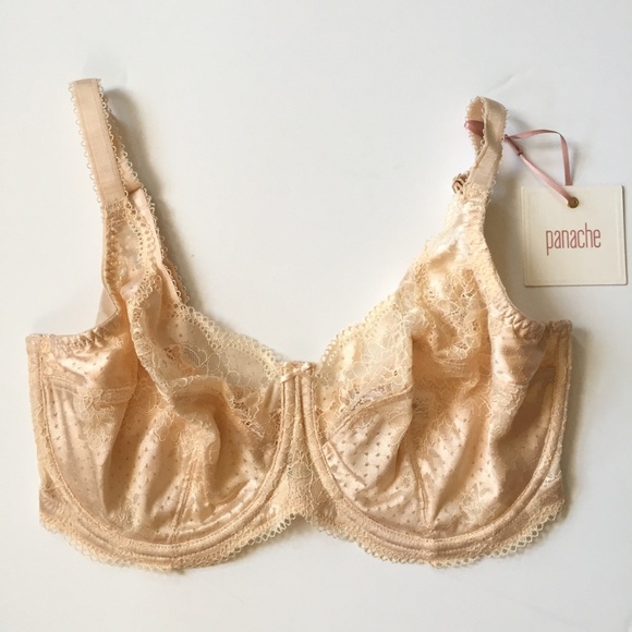 Panache Other - Panache Clara Bra 34G - New with tags!